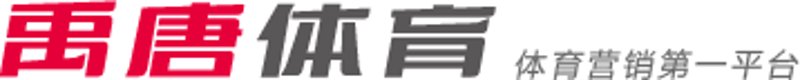 五大联赛:全球体育赛事的顶级舞台